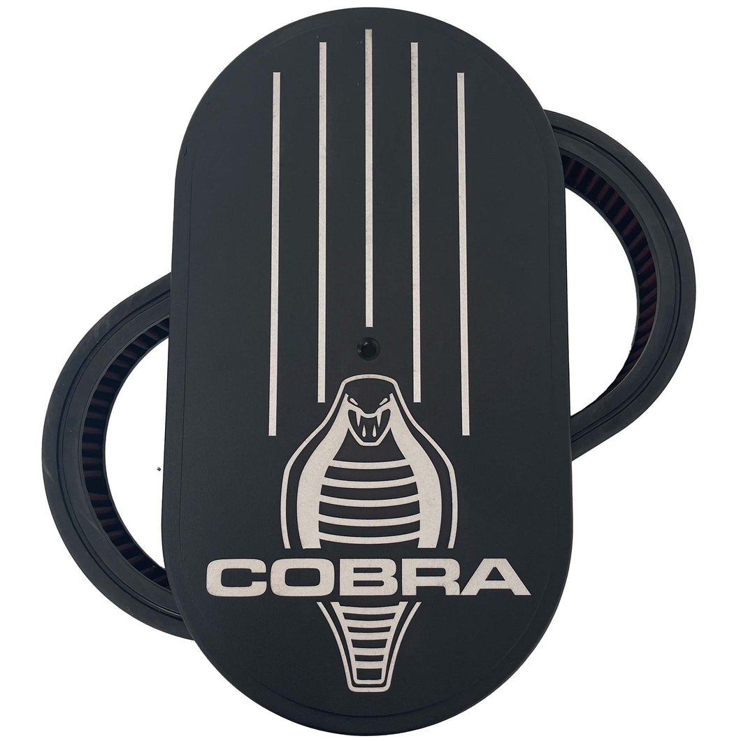 Ford Shelby Cobra Text Logo 15